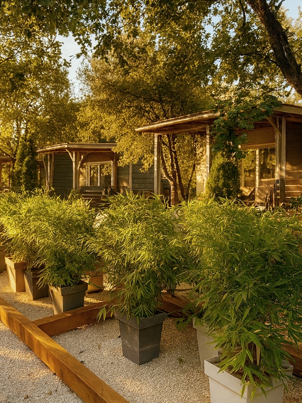 rovinj bed and breakfast008